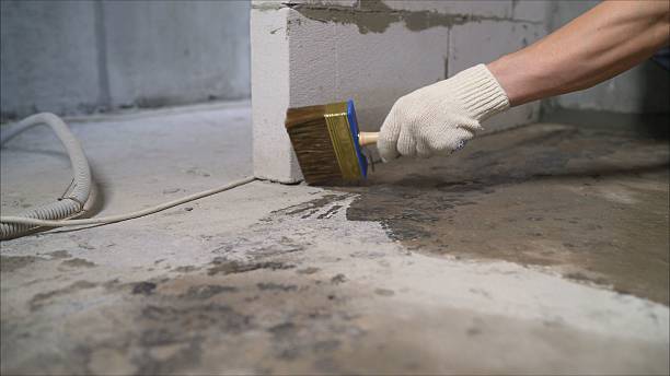 SJ Waterproofing Pros Waterproofing coverage map for New Lothrop, MI and surrounding area